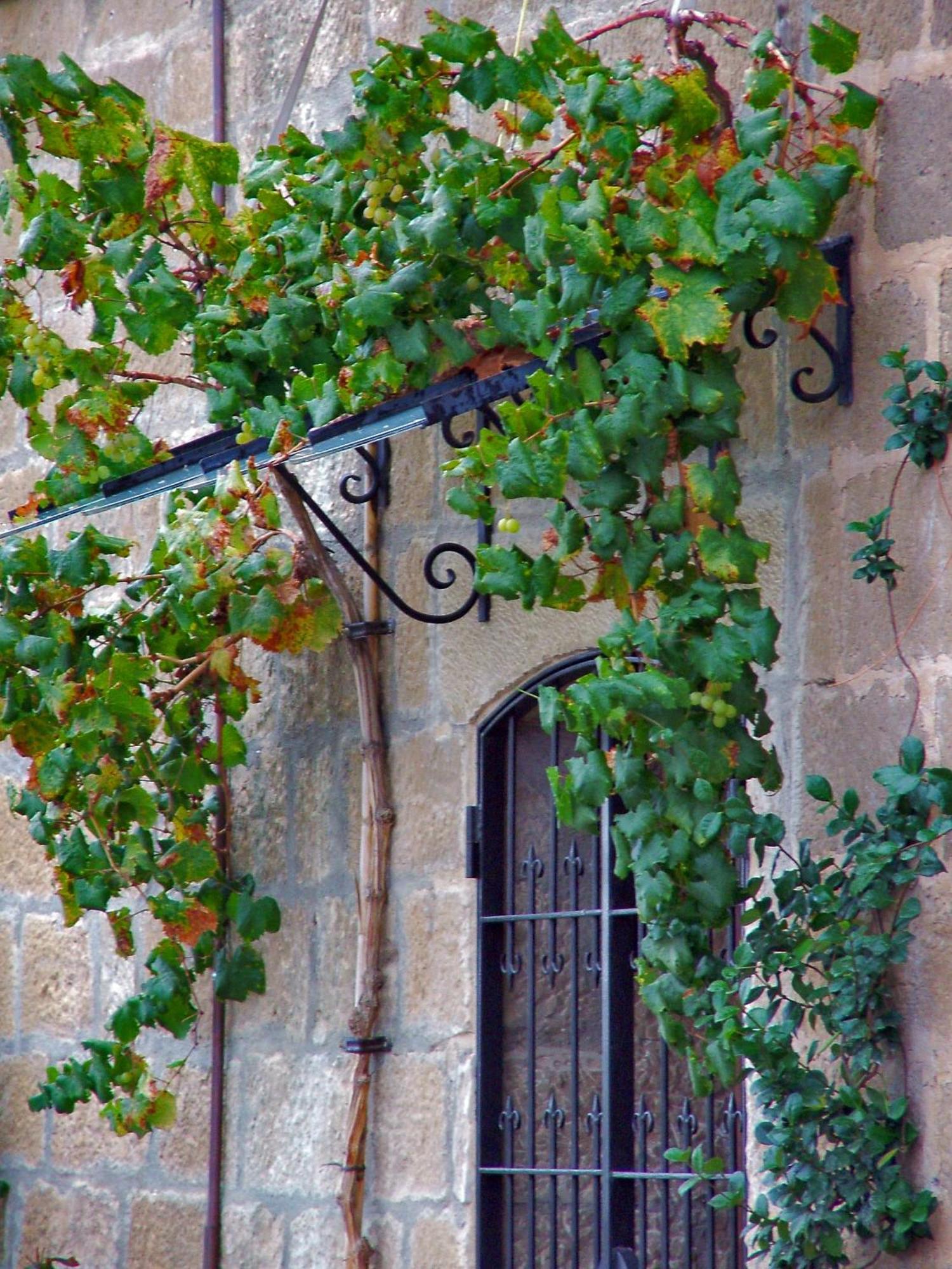 El Lagar Del Vero Huerta de Vero Exterior foto